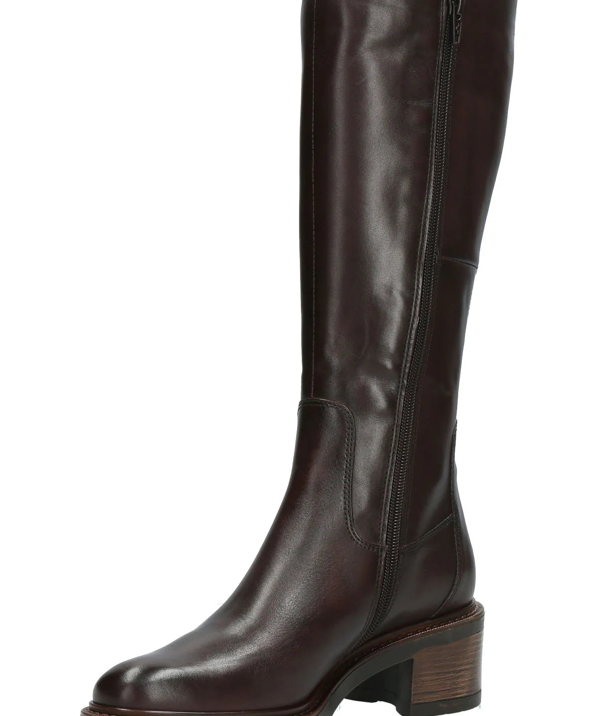 botas-eloise-rk202011285-dk1